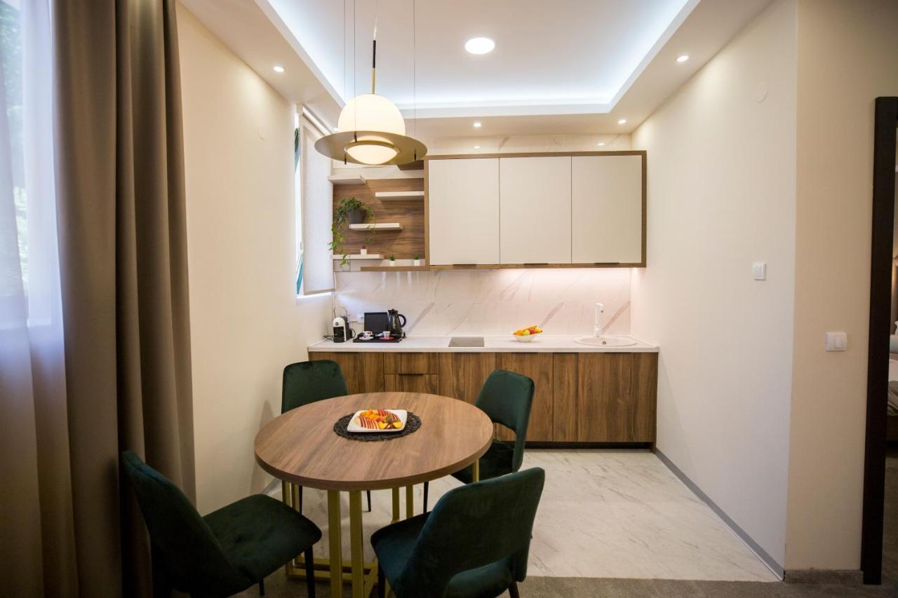 Vs Apartmani Vrnjačka Banja Zewnętrze zdjęcie