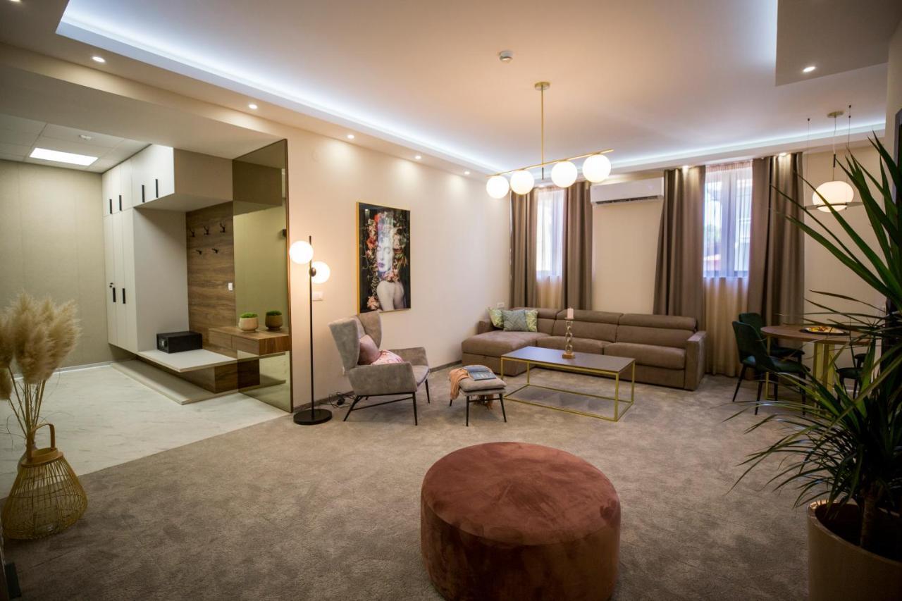 Vs Apartmani Vrnjačka Banja Zewnętrze zdjęcie