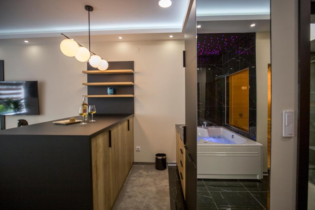 Vs Apartmani Vrnjačka Banja Zewnętrze zdjęcie